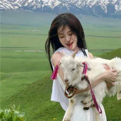 美国人朋友 封面