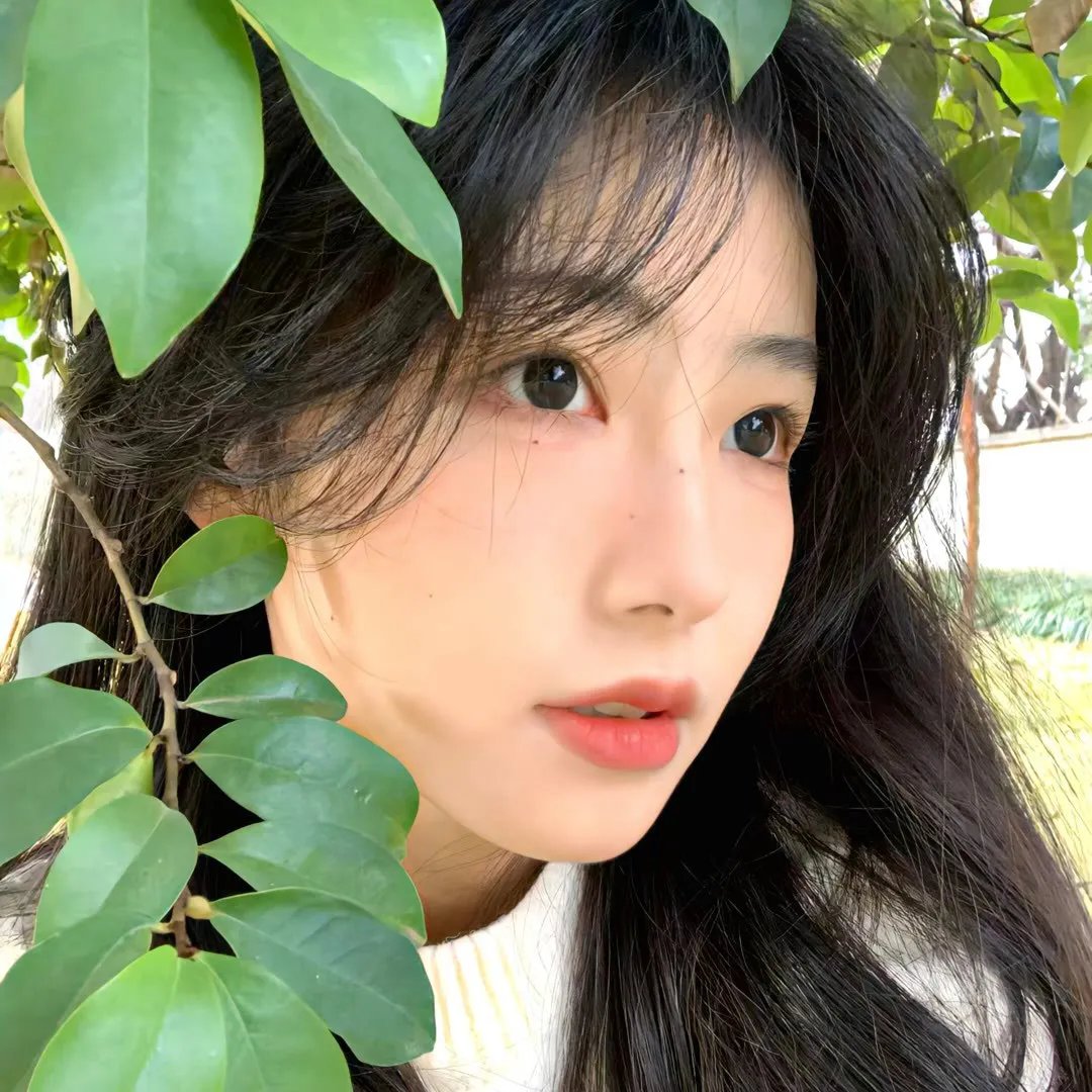女机械人 封面